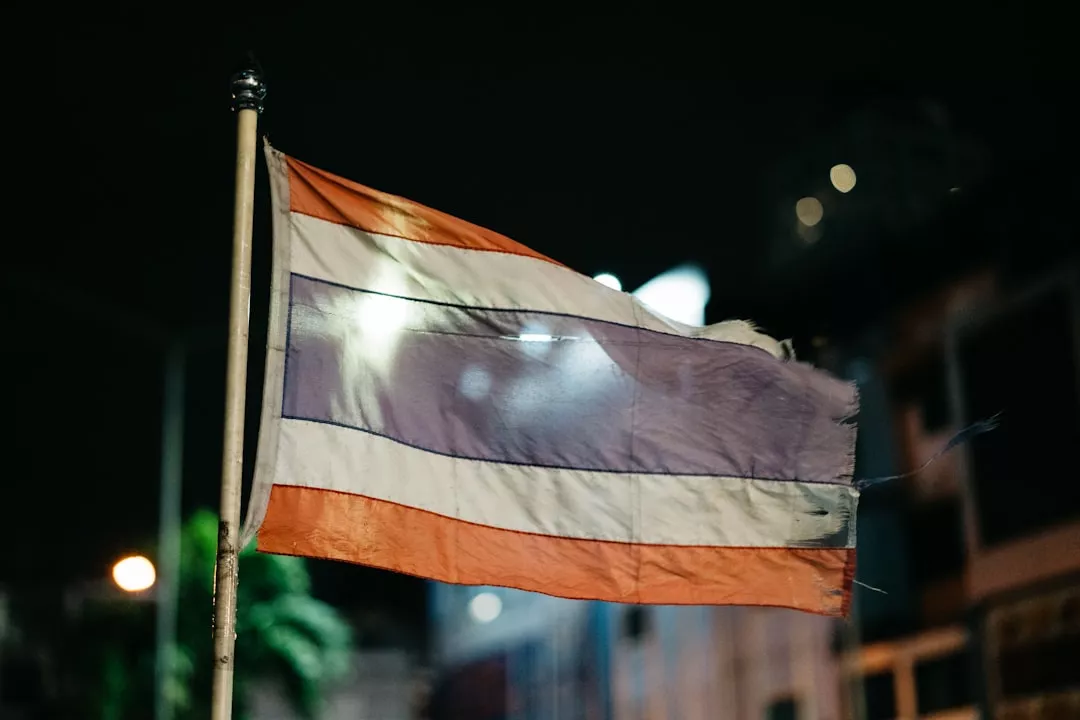 Stolen Film Saga: German Duo's Creative Justice Against Fraud