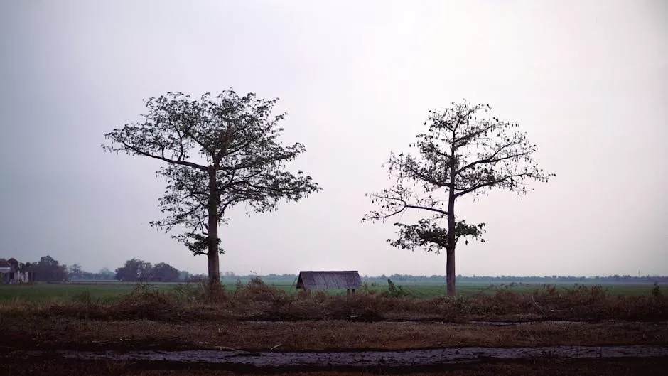 Tragic Plight of Syria's Alawite Women: Kidnappings and Assaults