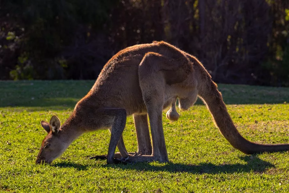 Coroner Criticizes Delayed Health Screenings in NSW Prisons