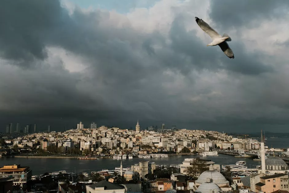 Escalating Conflict Forces 700,000 to Flee in Lebanon Crisis