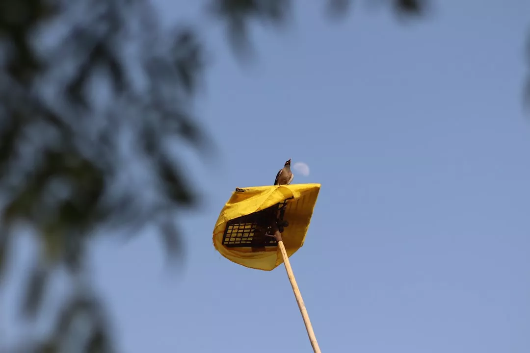 Iran-Hezbollah Coordination: Strikes Challenge Israel's Defenses