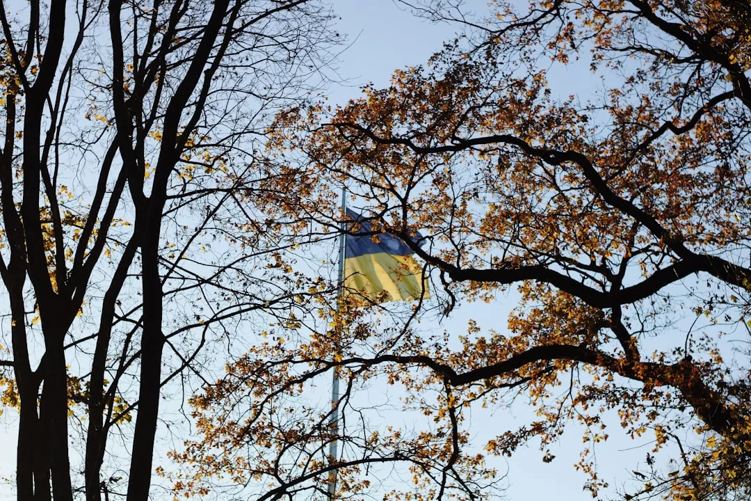 Nile Fishermen Pivot to Plastic Cleanup Amid Environmental Crisis