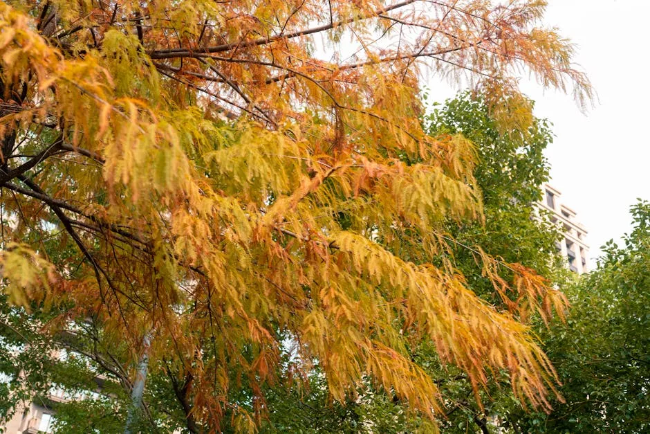 US Intelligence Debunks China's 2027 Taiwan Invasion Fears